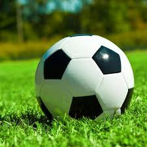 2026美加墨世界杯 - 官方指定网站 - FIFA World Cup 2027